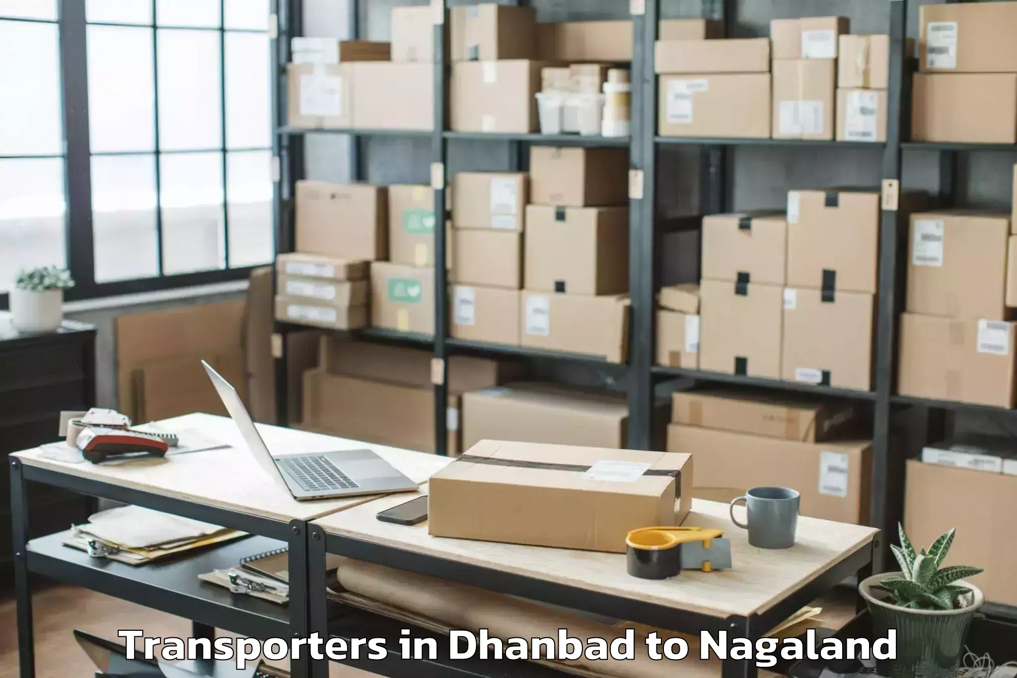 Easy Dhanbad to Kuhoboto Transporters Booking